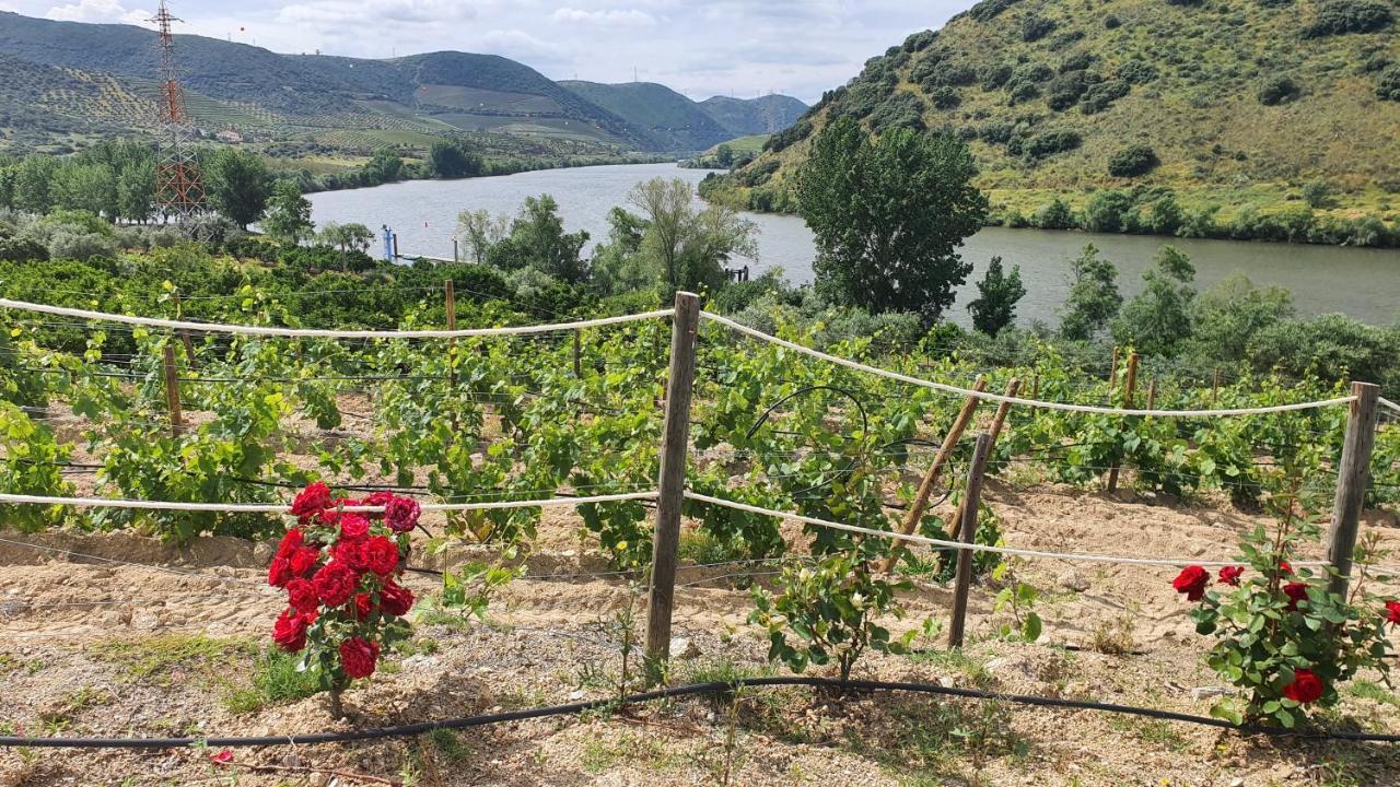 Olhares Do Douro Guest House Torre De Moncorvo Exterior foto