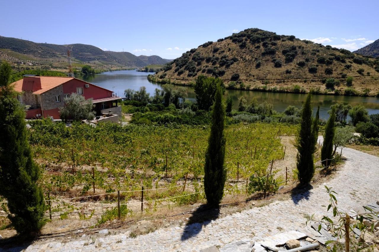 Olhares Do Douro Guest House Torre De Moncorvo Exterior foto