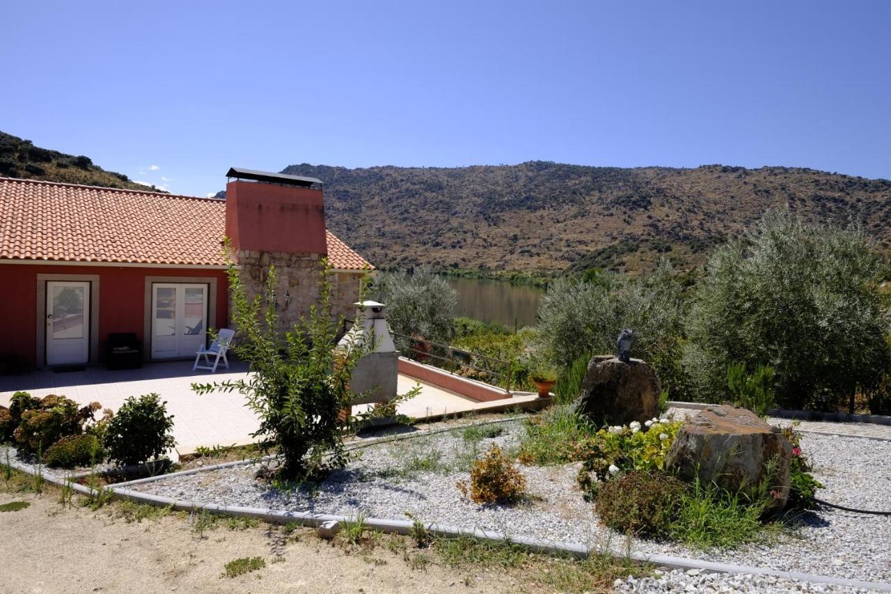 Olhares Do Douro Guest House Torre De Moncorvo Exterior foto