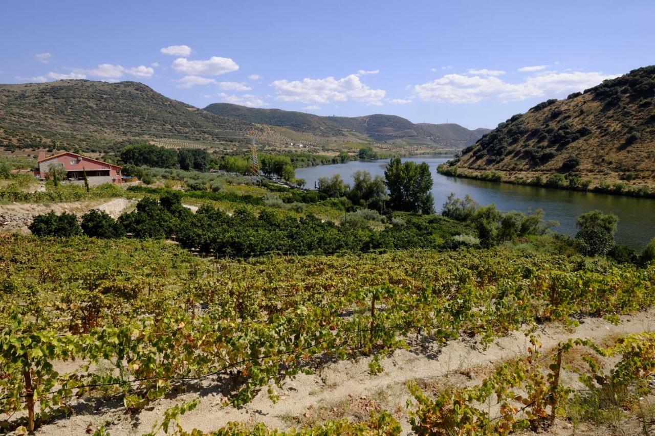 Olhares Do Douro Guest House Torre De Moncorvo Exterior foto