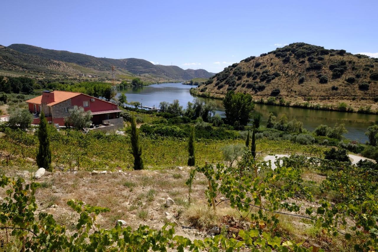 Olhares Do Douro Guest House Torre De Moncorvo Exterior foto