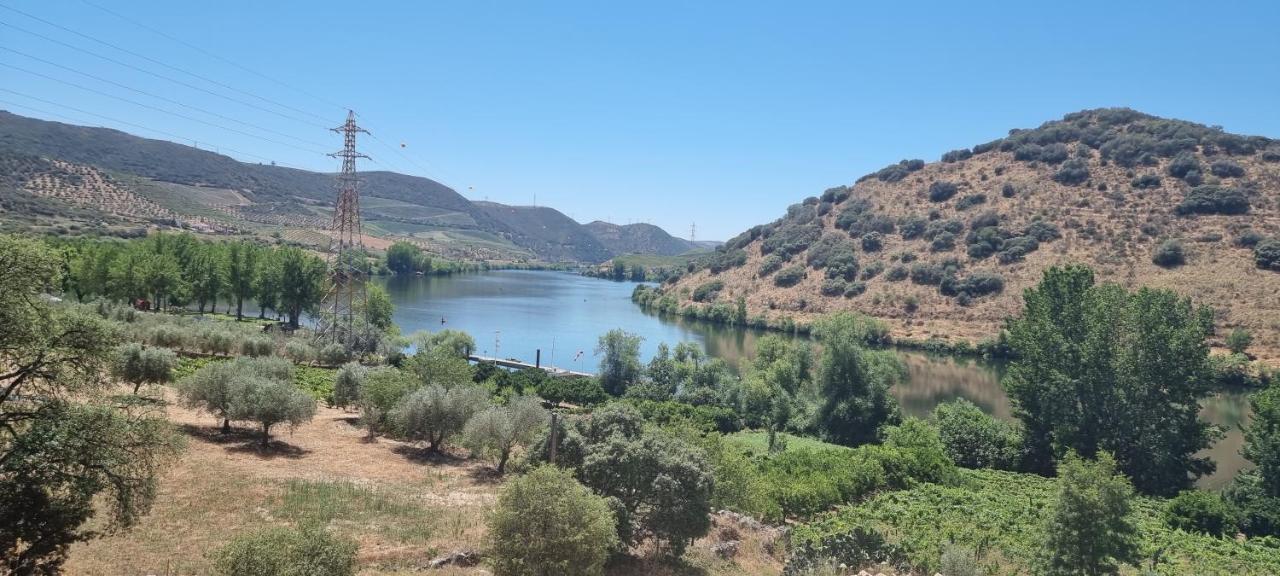 Olhares Do Douro Guest House Torre De Moncorvo Exterior foto