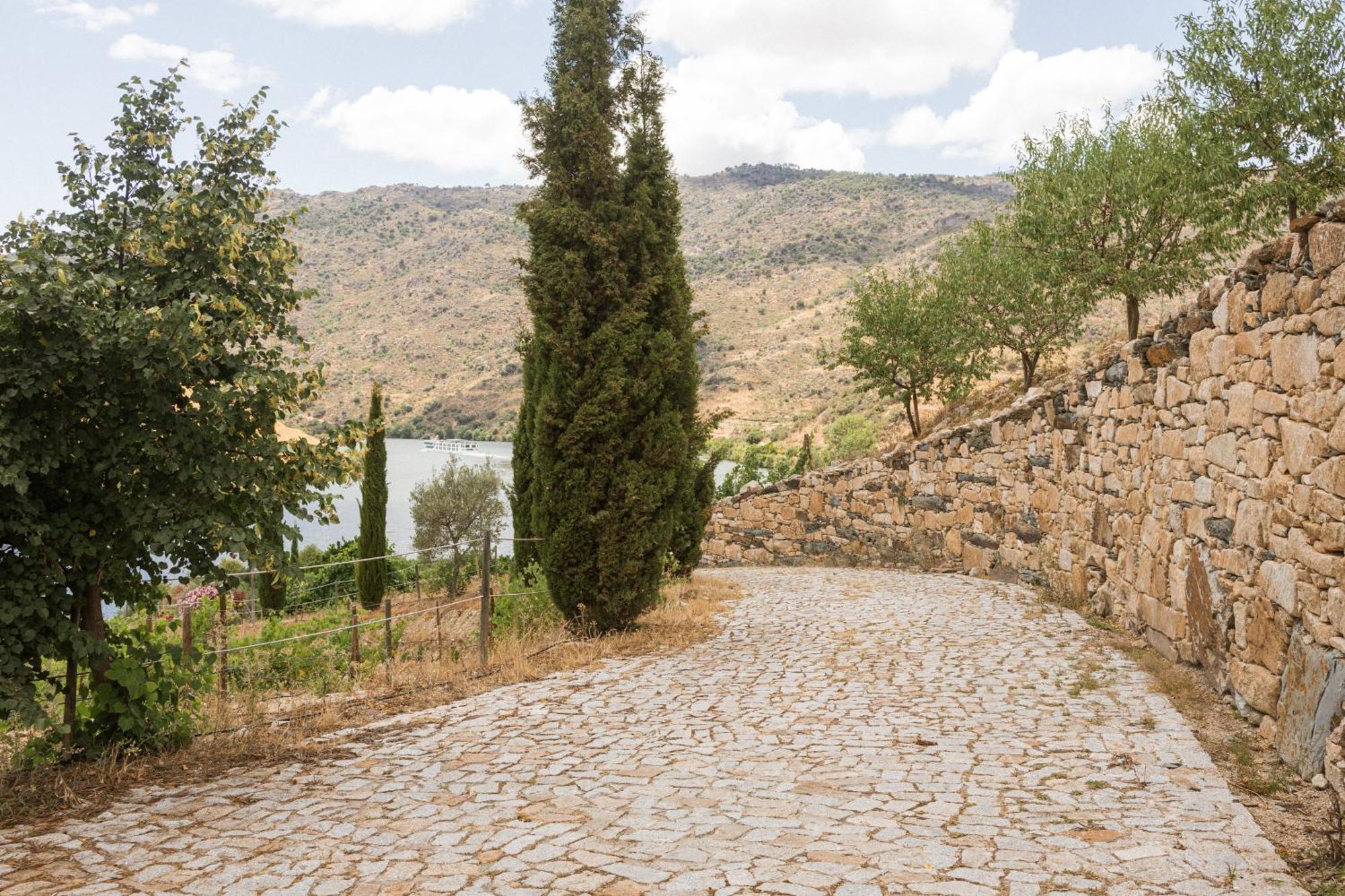 Olhares Do Douro Guest House Torre De Moncorvo Exterior foto