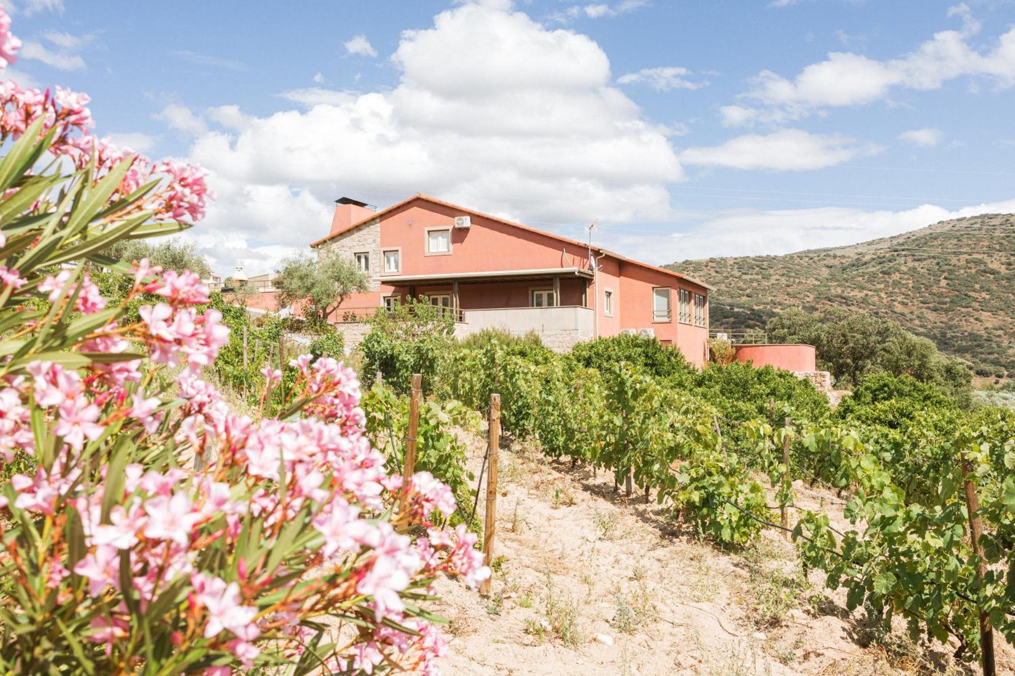 Olhares Do Douro Guest House Torre De Moncorvo Exterior foto