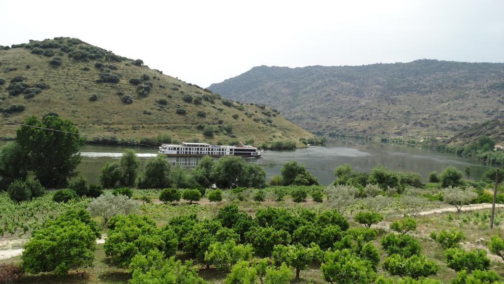Olhares Do Douro Guest House Torre De Moncorvo Exterior foto