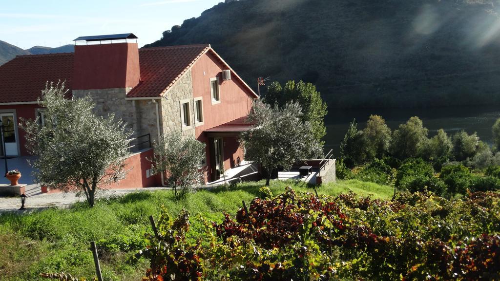 Olhares Do Douro Guest House Torre De Moncorvo Exterior foto