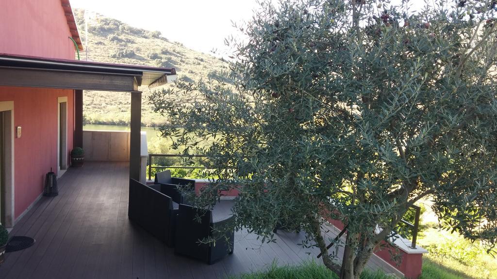 Olhares Do Douro Guest House Torre De Moncorvo Exterior foto